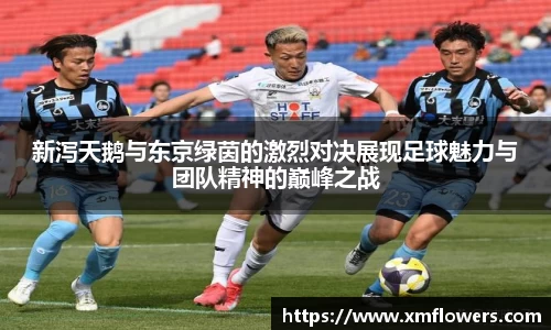 tyc33455cc太阳成集团官网